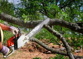  North Arlington, NJ Tree Removal and Landscaping Services Pros